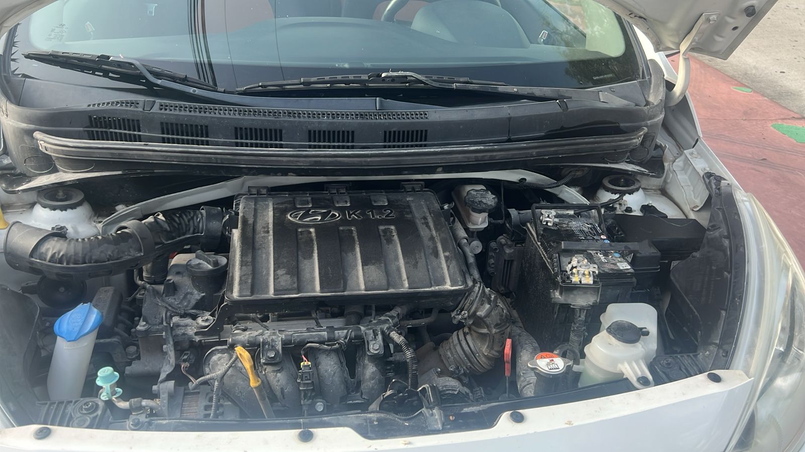 WhatsApp Image 2025-08-08 at 8.18.30 AM