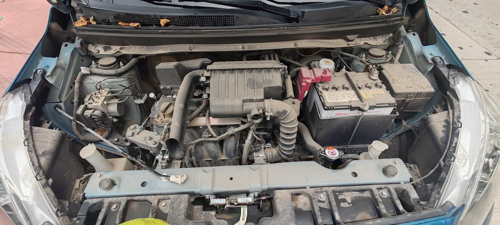 WhatsApp Image 2025-08-01 at 5.35.34 PM (3)