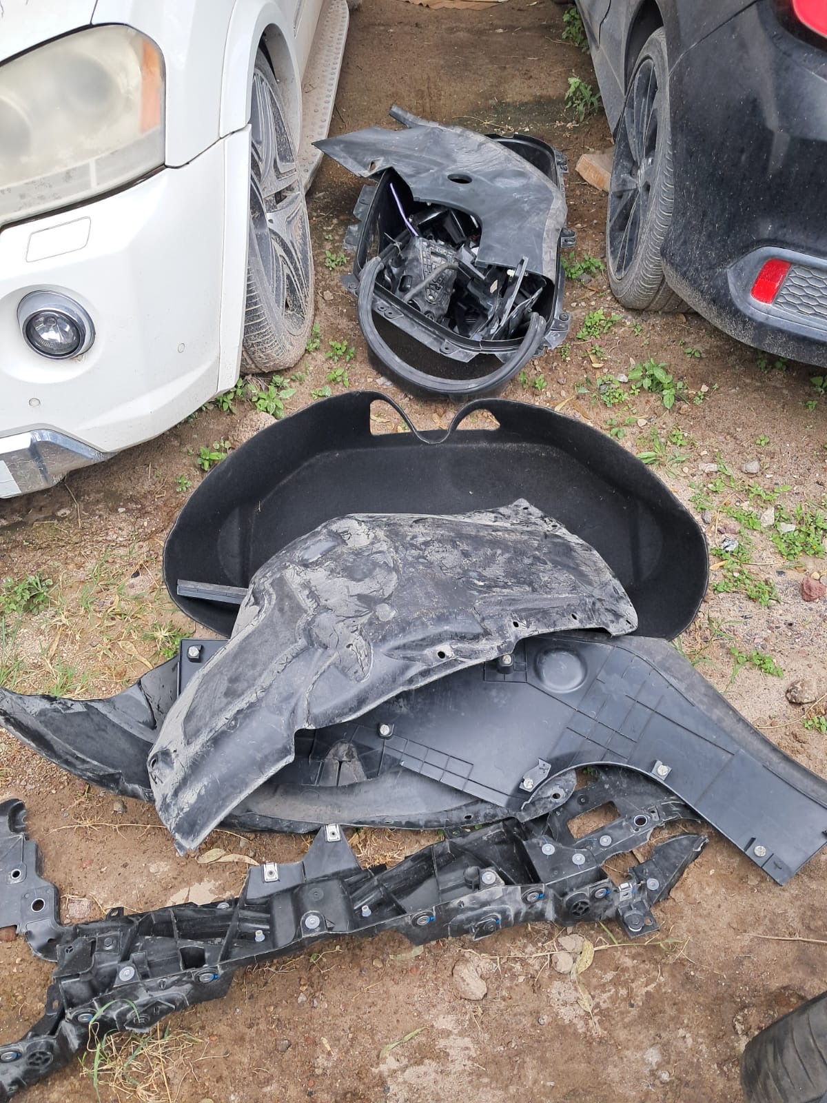 155239f9-8f60-4d37-862a-37ec96523eb4