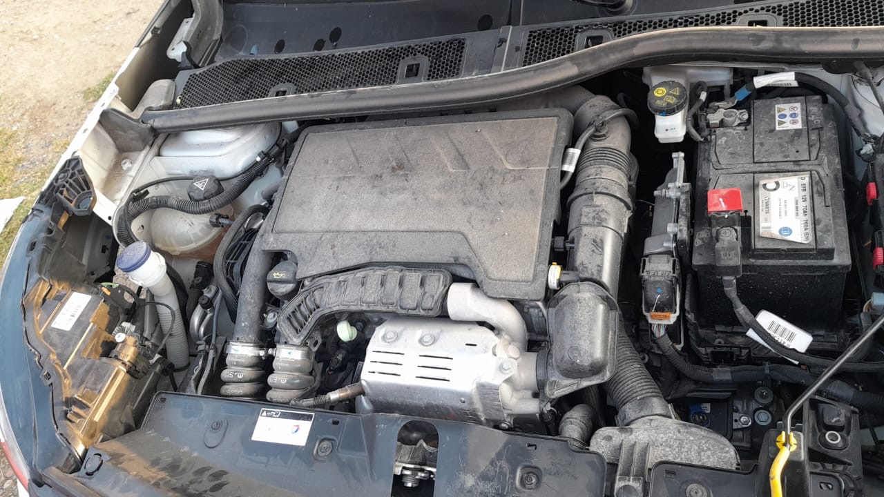 219fe2a5-bb0a-415a-a5c7-cac411682aaf