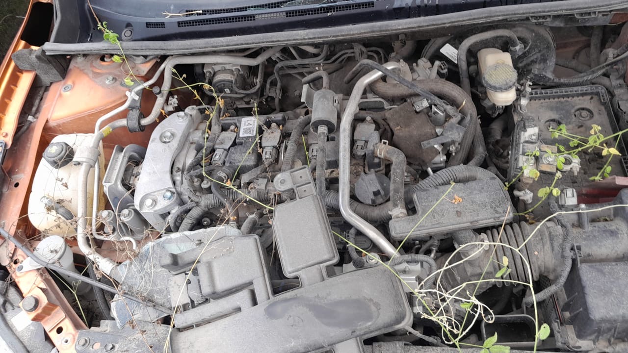 3e1aa370-92d0-4e2e-961e-04fb45497e8b