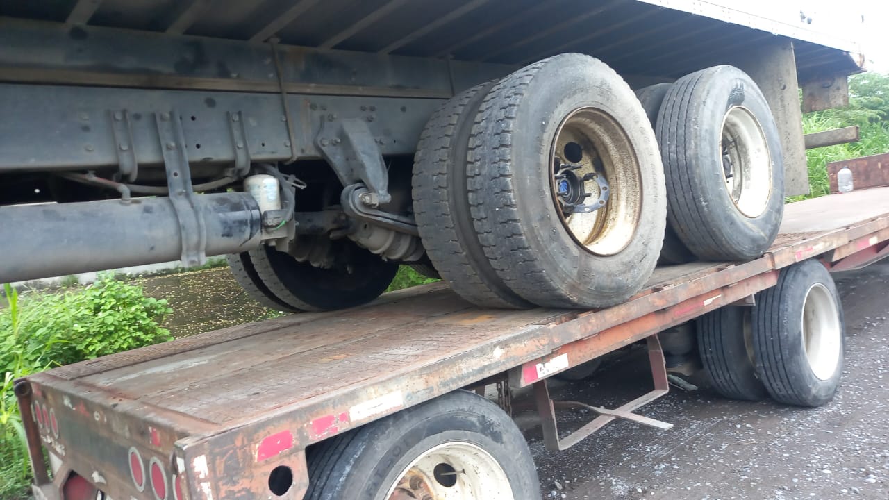 WhatsApp Image 2025-10-09 at 4.36.31 PM