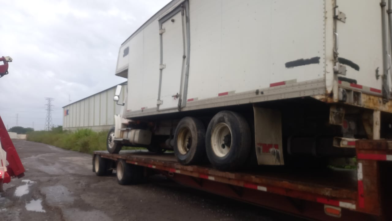 WhatsApp Image 2025-10-09 at 5.23.09 PM