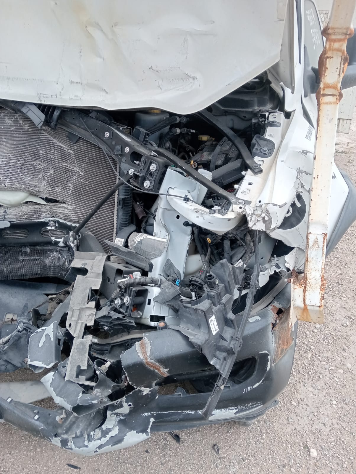 WhatsApp Image 2025-10-10 at 9.40.12 AM