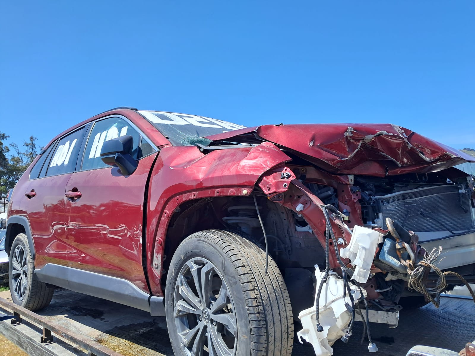 WhatsApp Image 2025-10-25 at 8.17.06 AM (1)