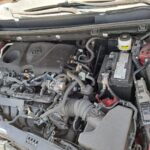 WhatsApp Image 2025-10-25 at 8.17.06 AM (3)111