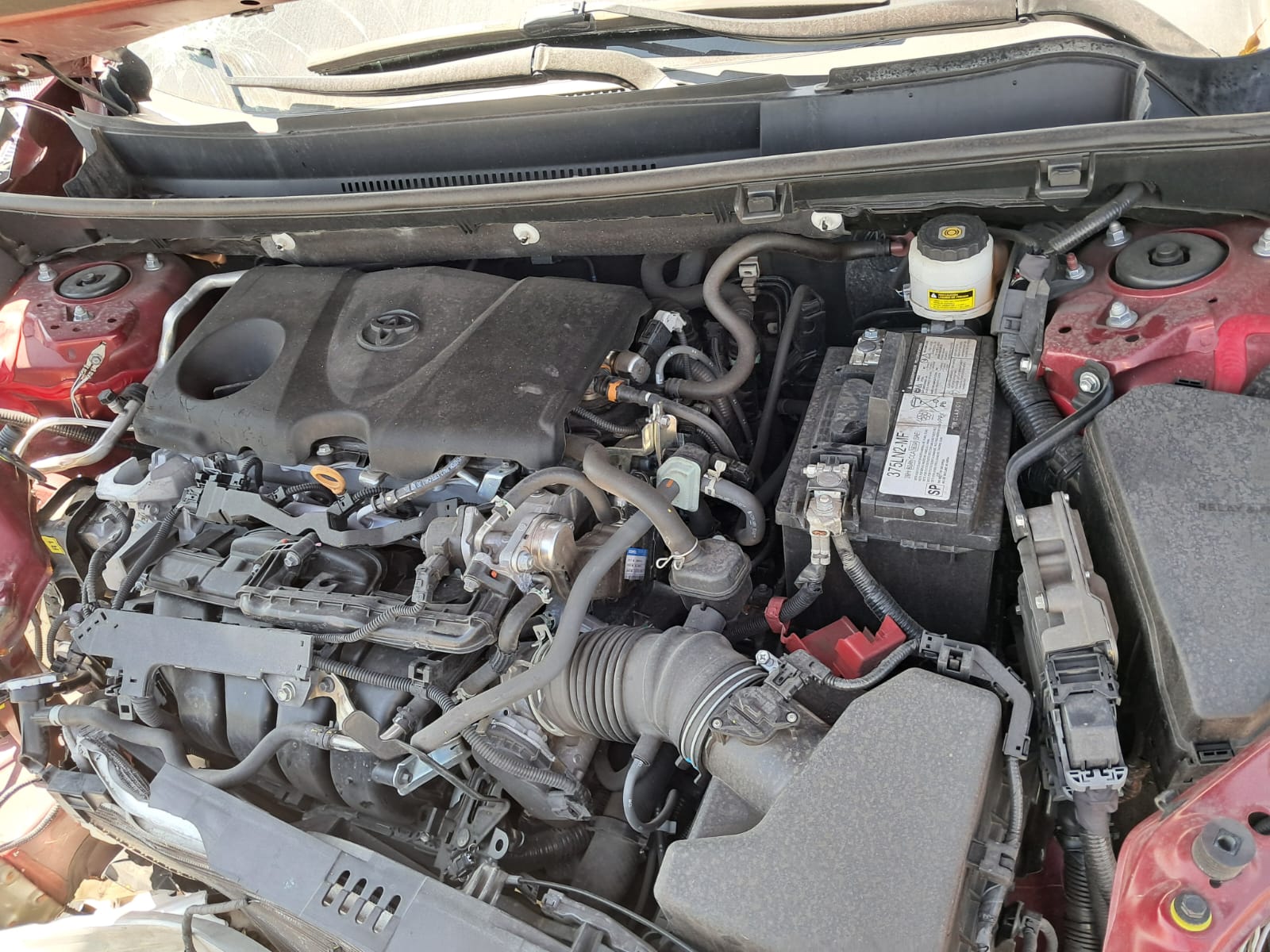 WhatsApp Image 2025-10-25 at 8.17.06 AM (3)