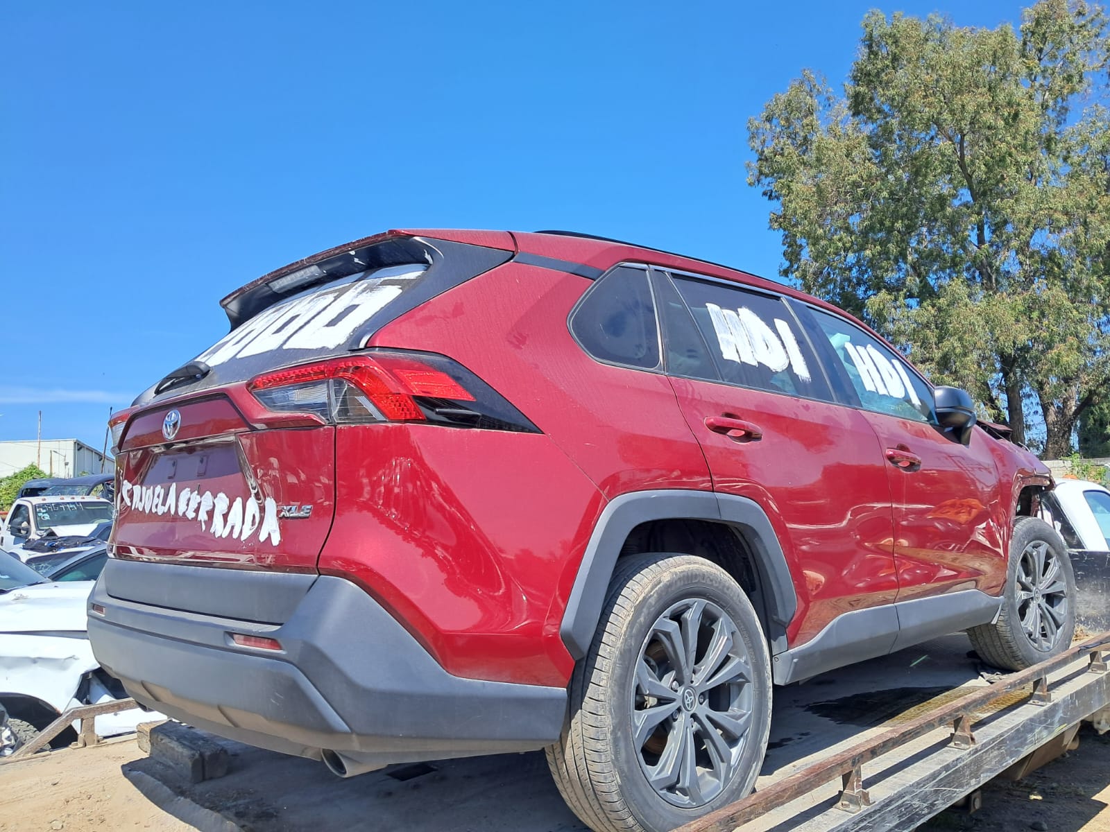 WhatsApp Image 2025-10-25 at 8.17.07 AM (2)