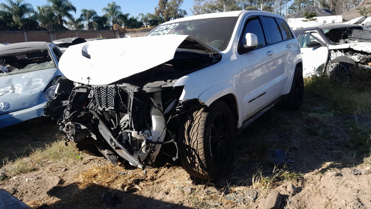 WhatsApp Image 2025-11-07 at 9.10.35 AM