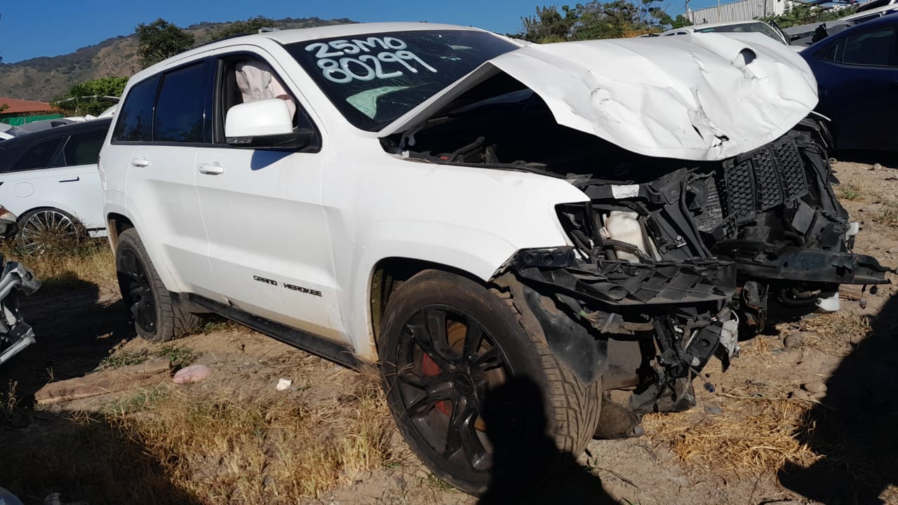 WhatsApp Image 2025-11-07 at 9.10.45 AM