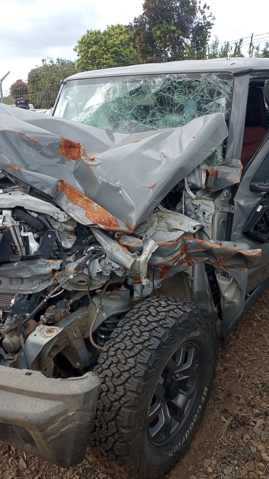 WhatsApp Image 2025-11-03 at 3.24.27 PM (1)