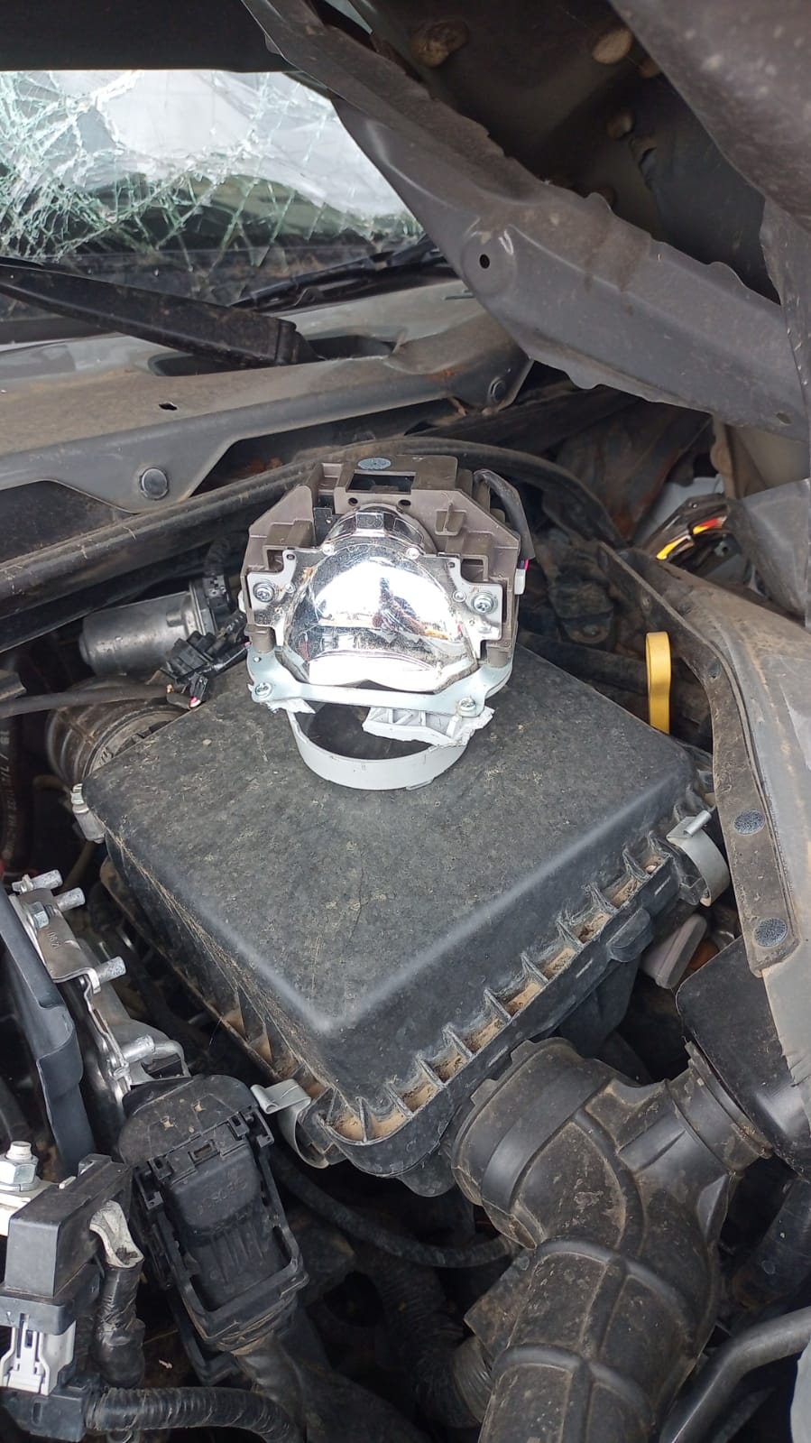 WhatsApp Image 2025-11-03 at 3.24.28 PM